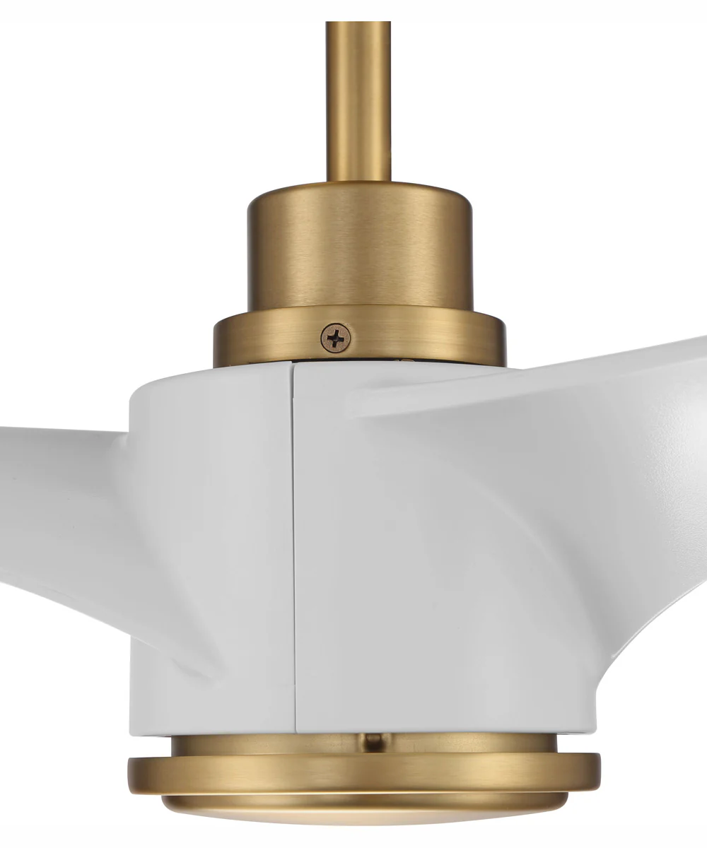 60" Phoebe 1-Light Indoor/Outdoor Ceiling Fan Satin Brass - Image 3