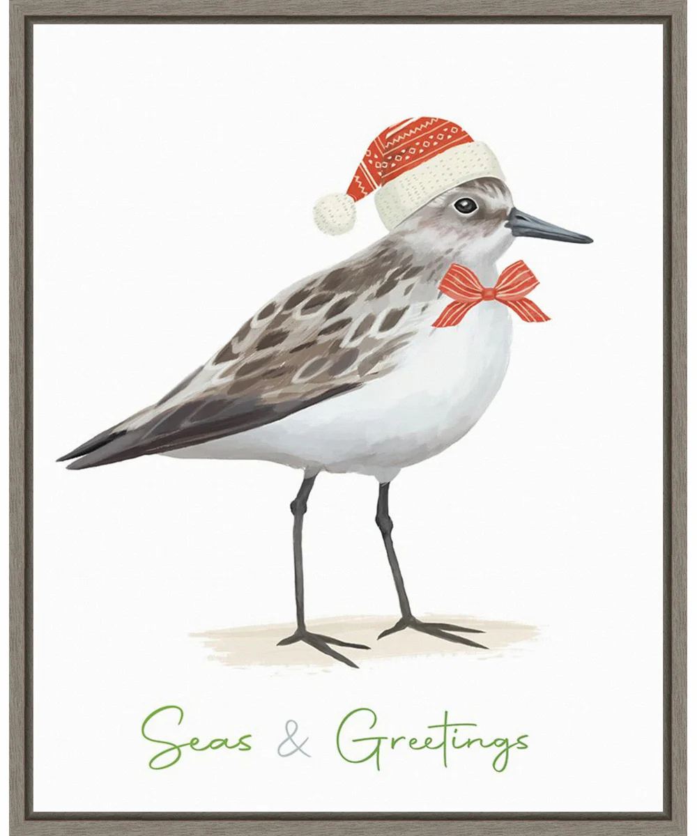 Framed Christmas Sandpiper I by Lucca Sheppard Canvas Wall Art Print (23  W x 28  H), Sylvie Greywash Frame