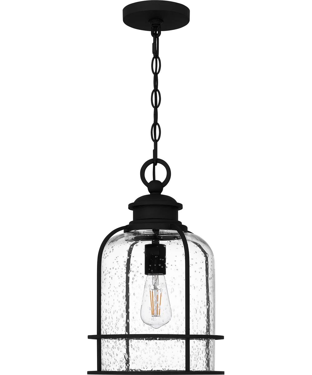 Bowles Large 1-light Outdoor Pendant Light Earth Black - Image 2