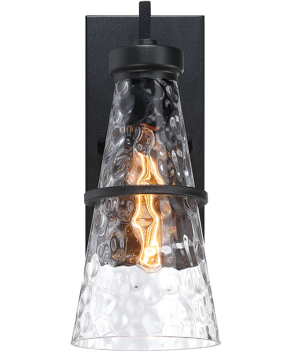 Field Daisy Lane Outdoor Wall Sconce Black