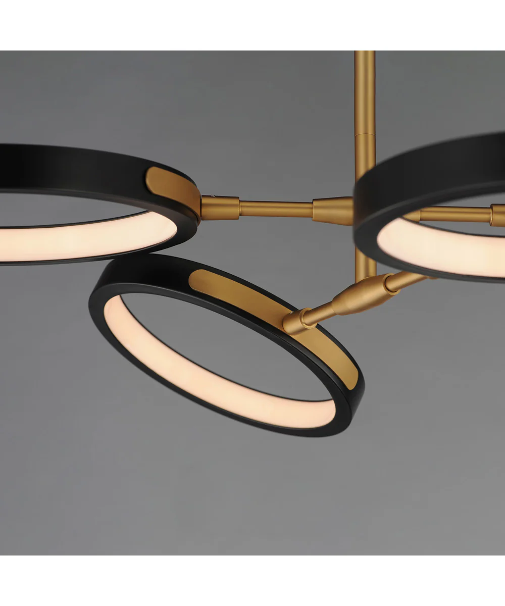 Hoopla 4-Light LED Pendant Black / Gold - Image 5