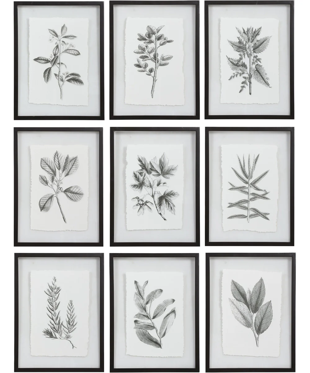 Farmhouse Florals Framed Prints Set/9
