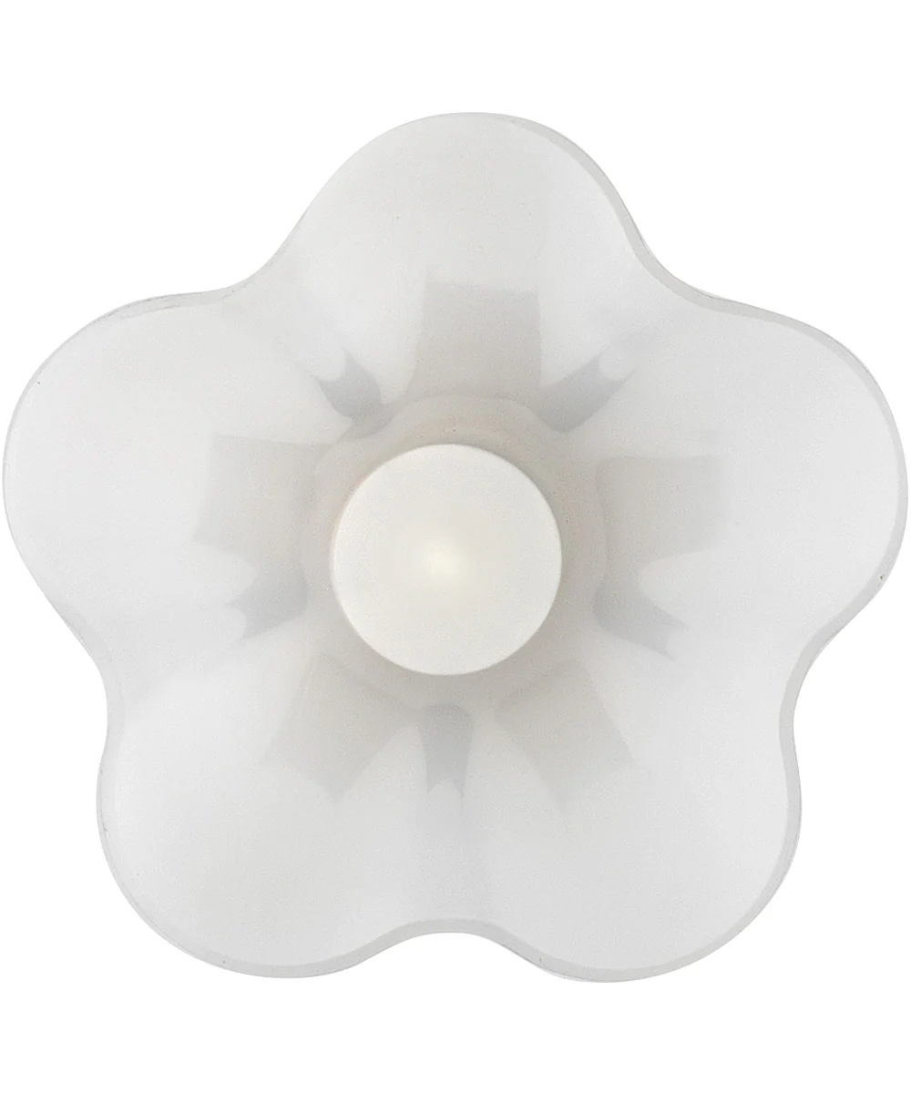 Honey 1-Light Small Pendant in Black - Image 5