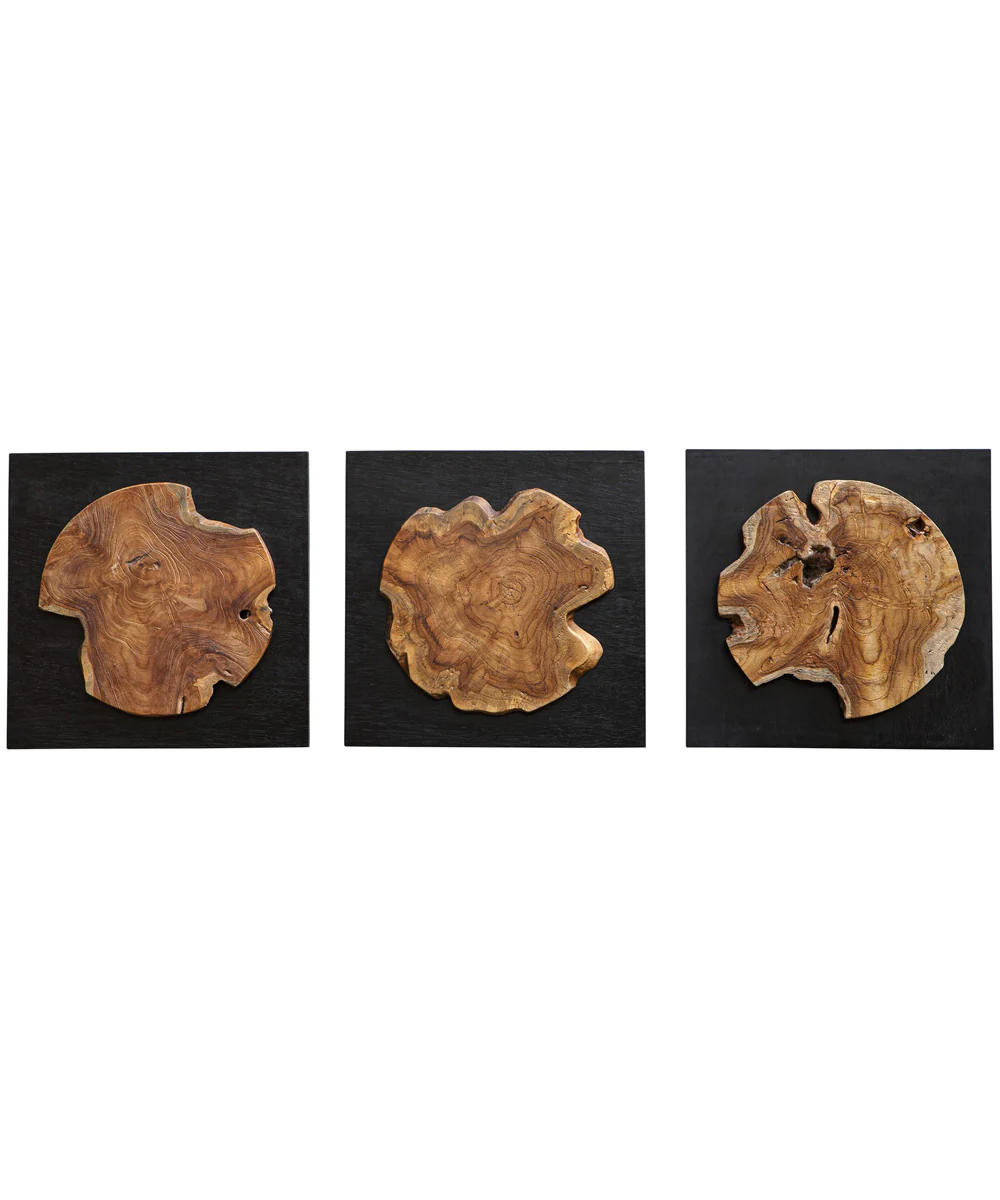Kolini Teak Wood Wall Decor, Set of 3