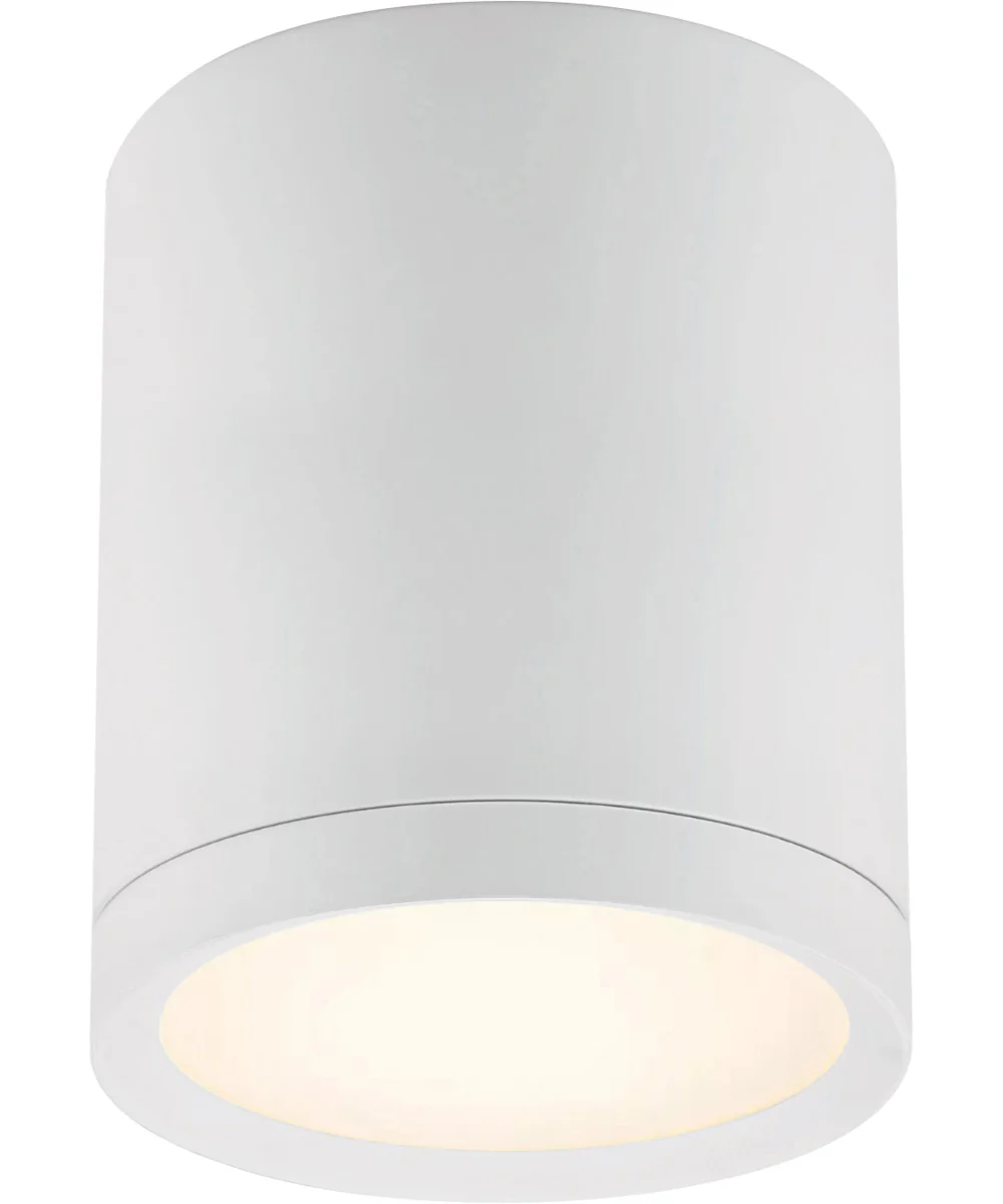 Lightray LED 1-Light Outdoor Flush Mount White