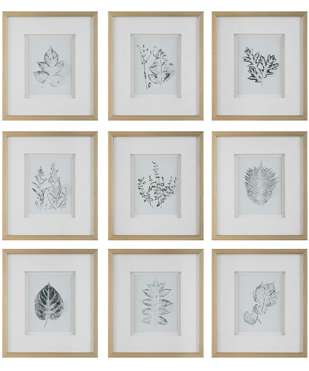 Nature's Script Framed Botanical Prints Set/9