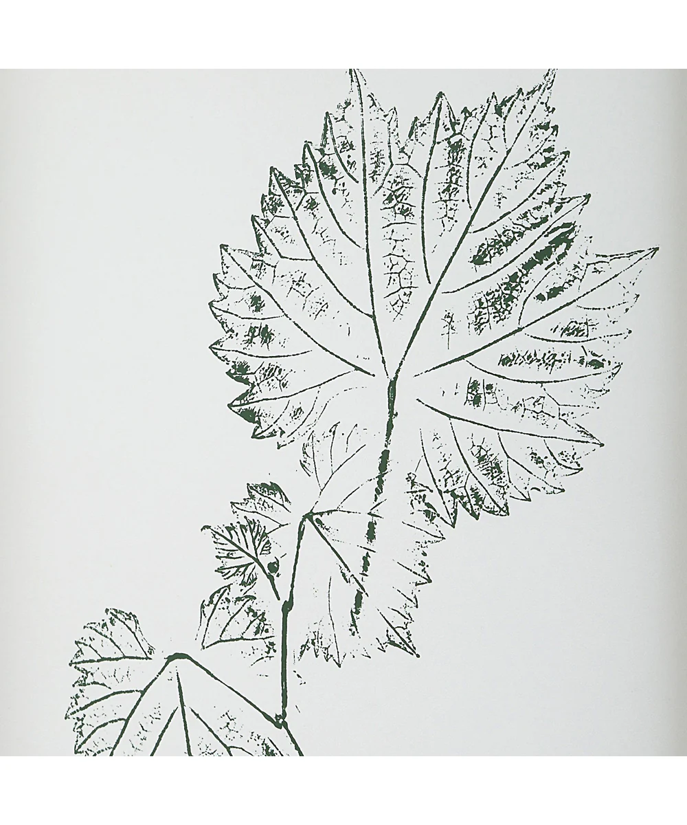 Nature's Script Framed Botanical Prints Set/9 - Image 5