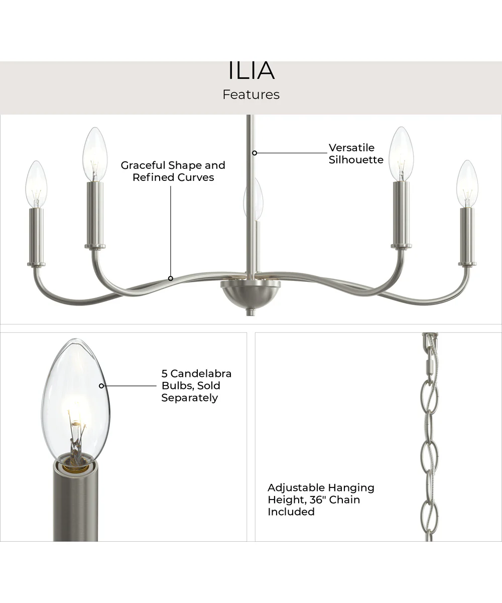 Ilia 5-Light Chandelier Brushed Nickel - Image 7