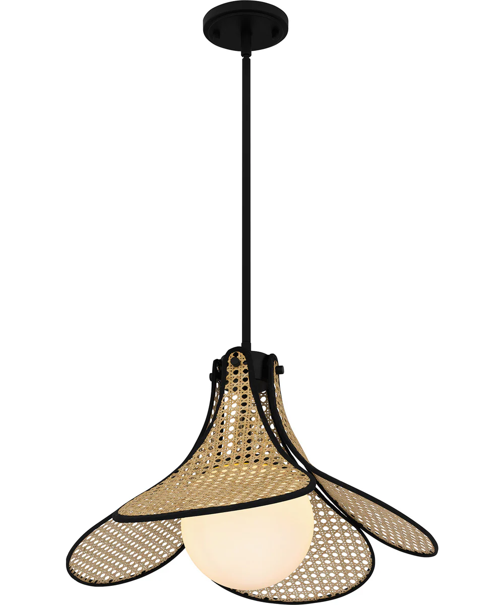 Quoizel Pendant Large 1-light Pendant Matte Black - Image 4