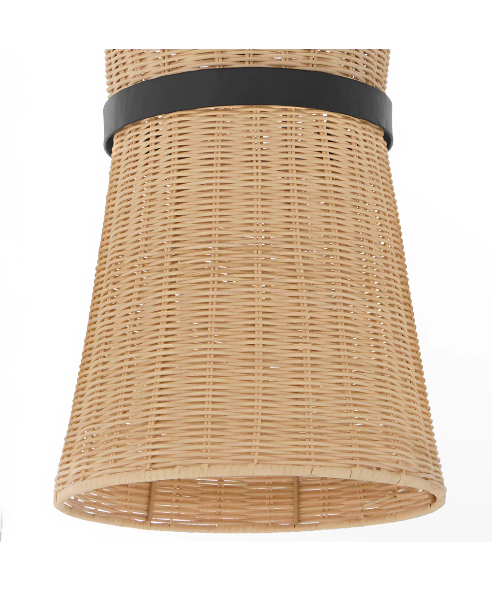 Fairview 2-light Pendant Matte Black - Image 2