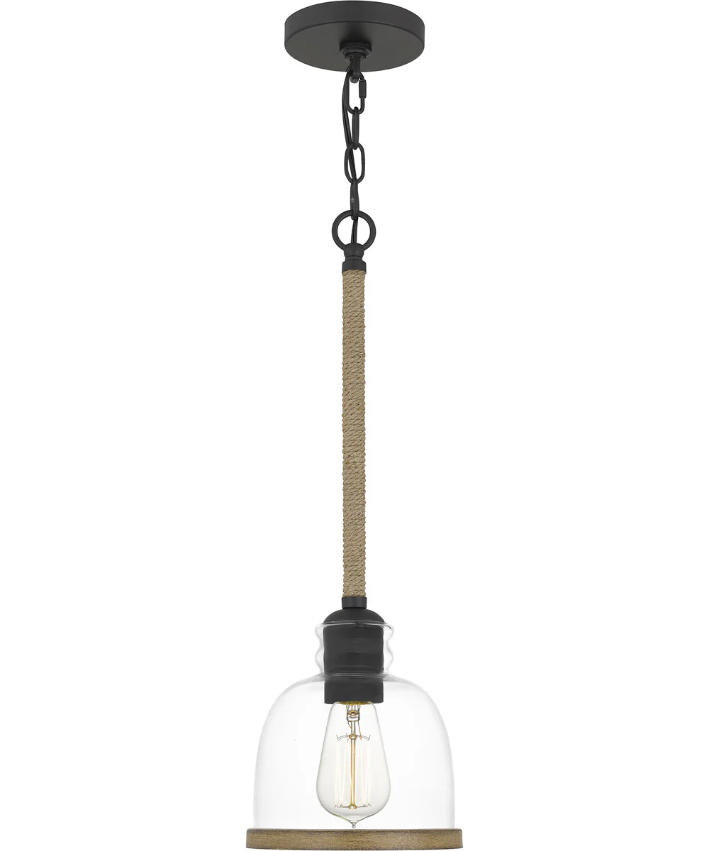 Wagner Small 1-light Mini Pendant Matte Black - Image 2