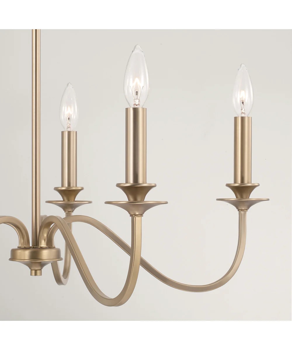 Weston 5-Light Chandelier Matte Brass - Image 6