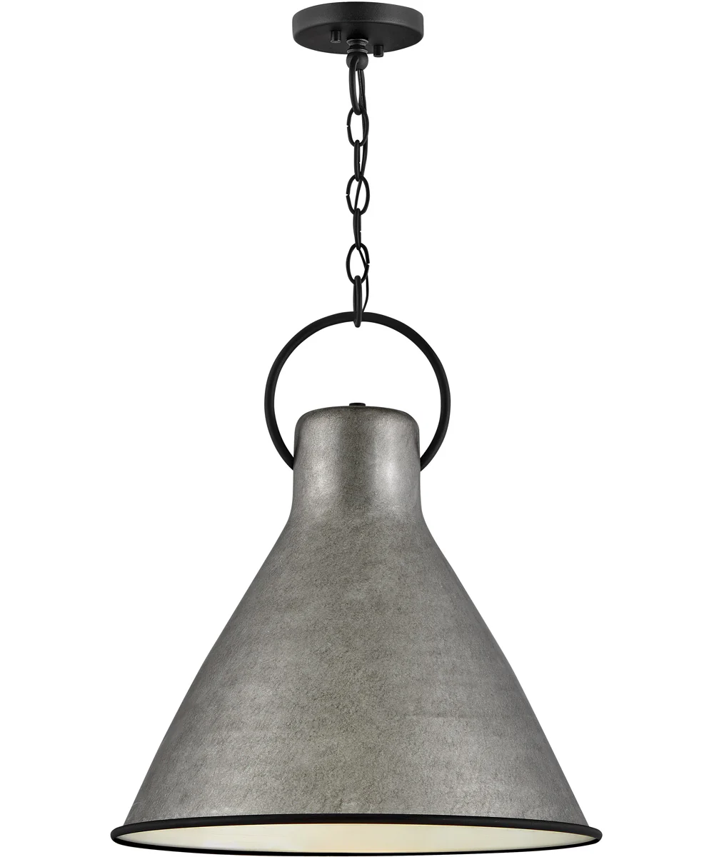 Winnie 1-Light Medium Pendant in Rustic Pewter